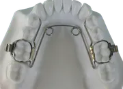 Altri Prodotti - Immagine 2