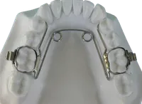 Altri Prodotti - Immagine 2