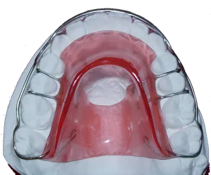 Altri Prodotti - Immagine 4