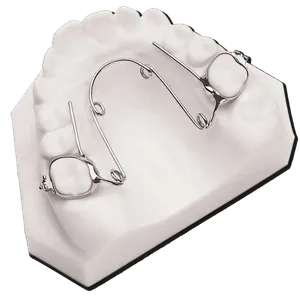 Altri Prodotti - Immagine 6