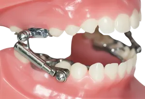 Altri Prodotti - Immagine 7