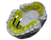 Altri Prodotti - Immagine 11